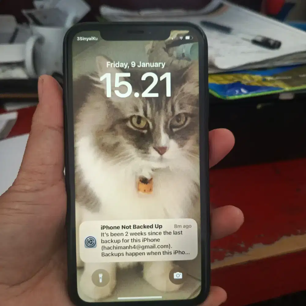 Jl iPhone XR second kondisi normal