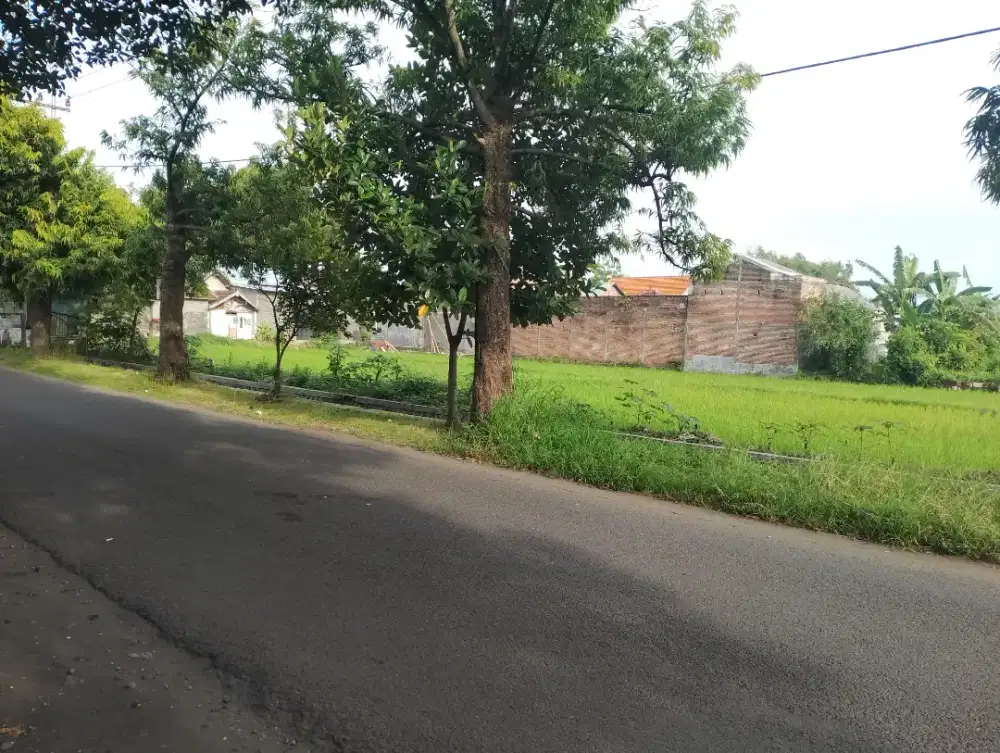 TANAH MURAH POSISI HOOK NOL JALAN