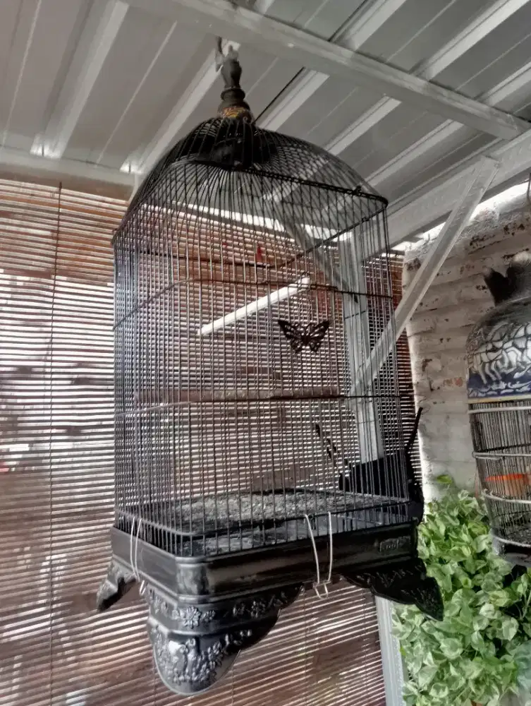 Sangkar besi cat masih ori