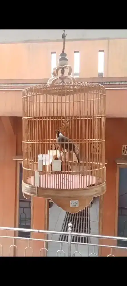 poksay Hongkong Lumayan Gacor