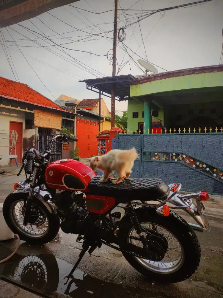 Byson custom british