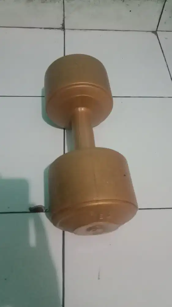 dumblle 10 kg masih ok