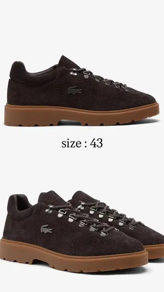 sepatu lacoste pria