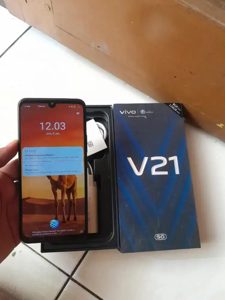 VIVO V21 5G Fulset Ram 8
