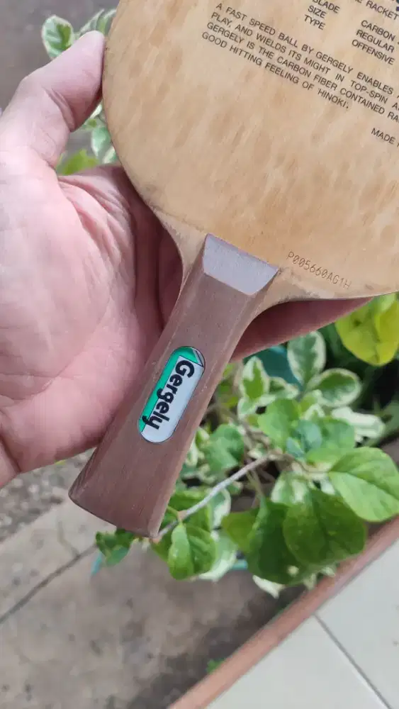 BUTTERFLY GERGELY SERI P BOX ADA