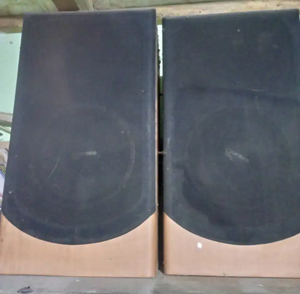 Speaker audio amplifier