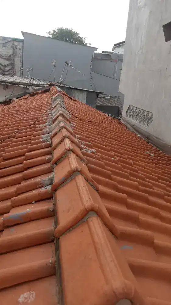 TukanG ahli Atap BocoR.talnG air