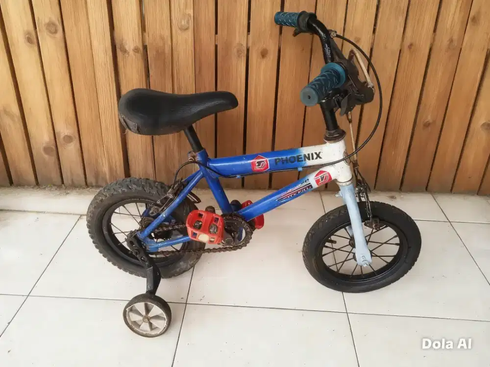 Sepeda anak kecil laki uk12