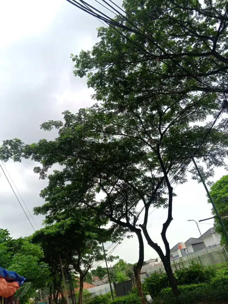 Mencari pekerjaan yang masuknya sore