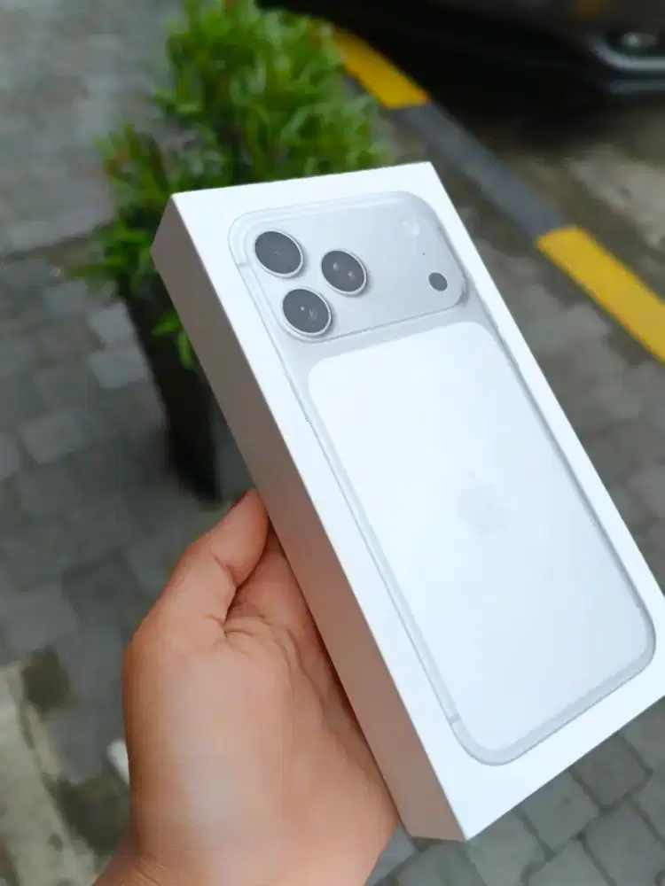 NEW 17 PROMAX 256 SILVER