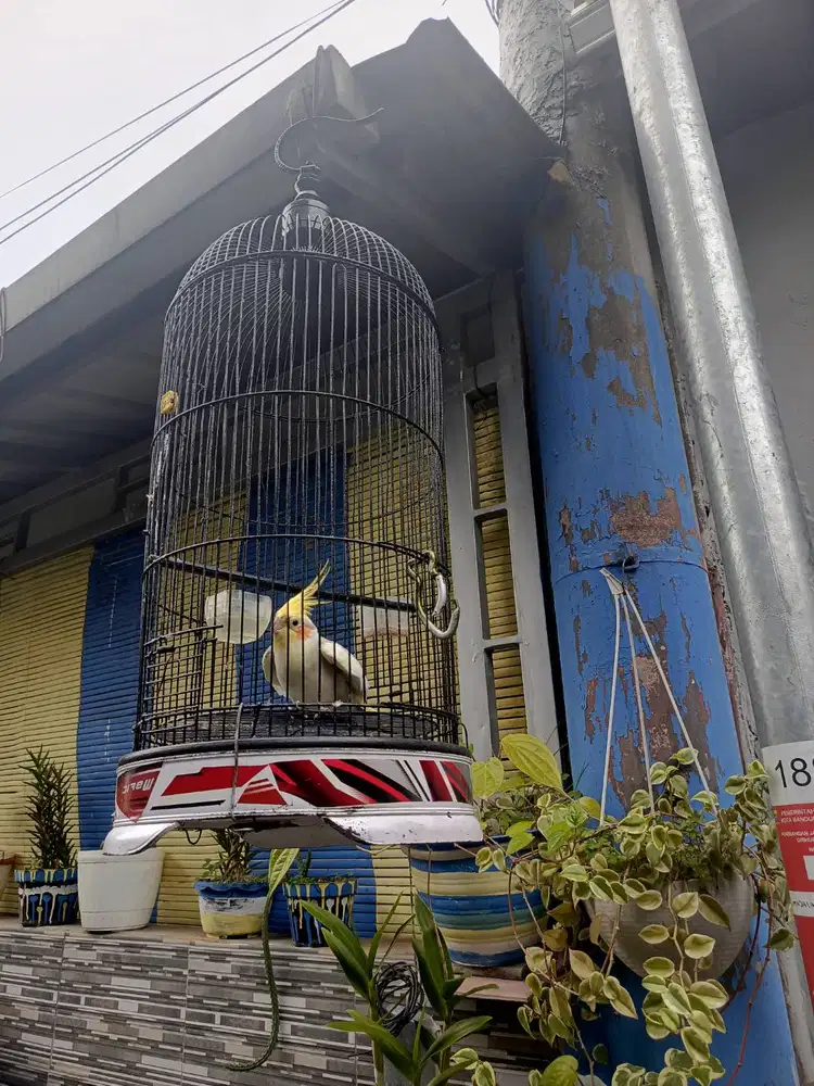 JUAL PARKIT AUSTRALIA