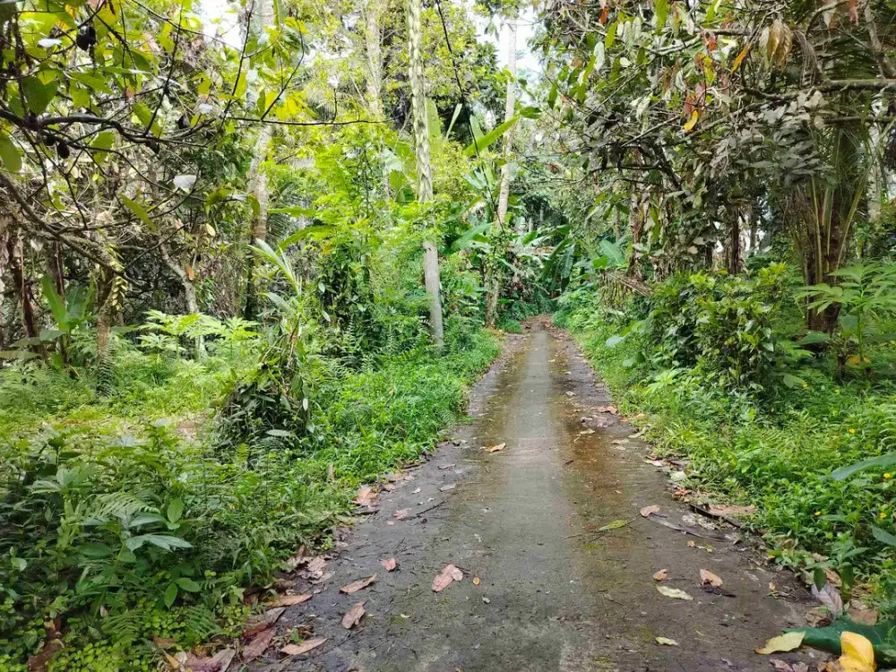 jual tanah murah penebel