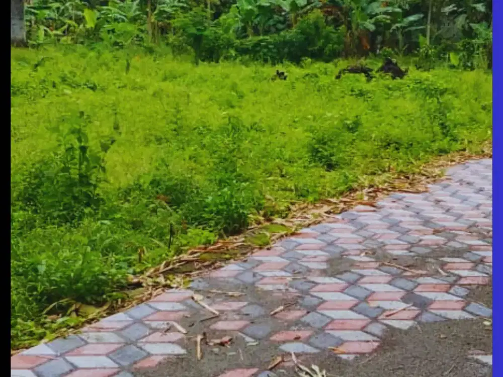 Tanah Jogja Kost Area Kampus UII Kaliurang SHM Pekarangan