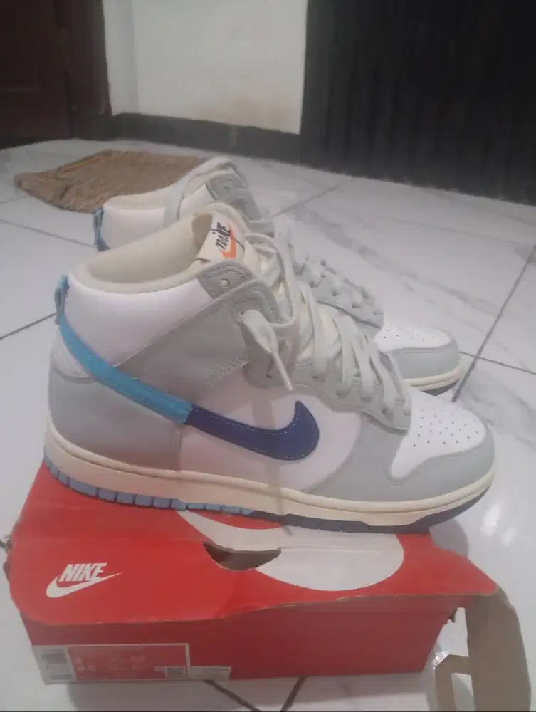 Nike dunk hi retro se