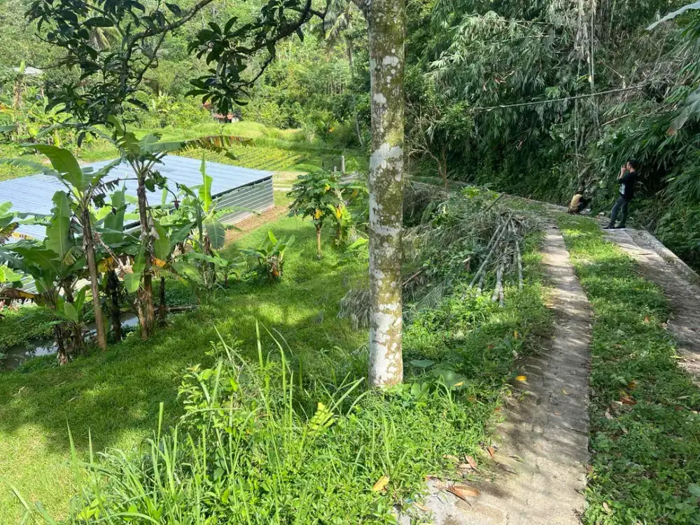 dijual tanah kebun dan peternakan