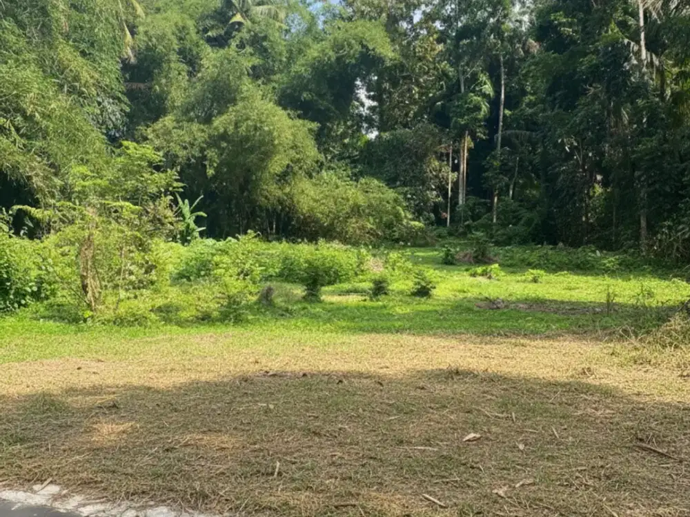 Dijual Tanah Strategis Sleman, 5 Menit ke RSUD Sleman