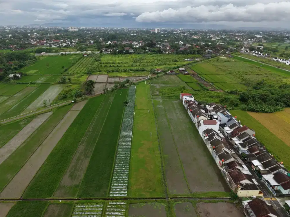 2 Tanah SHM dengan View Hamparan Sawah Hijau dan Gunung Merapi