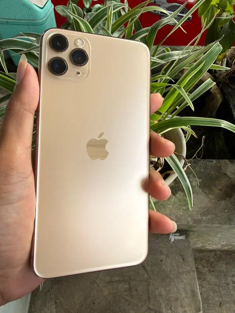 Iphone 11 promax 256 gold- whitelist