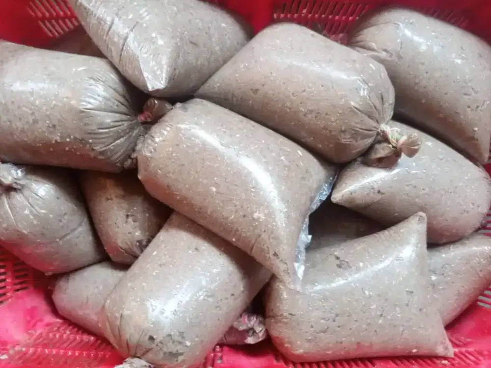 Ikan segar gilingan bisa parti gede