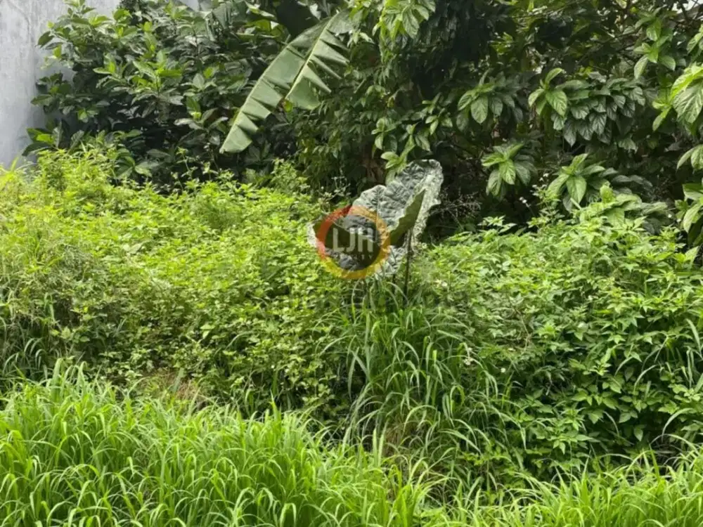 Kavling di Bukit Dieng