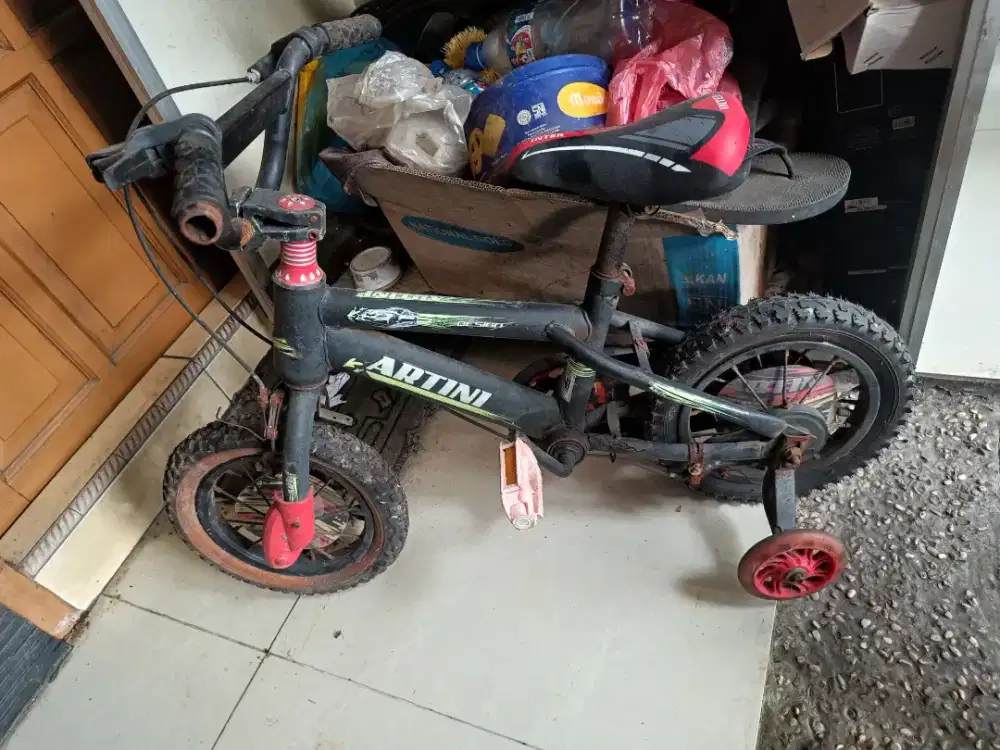 Sepeda anak artini