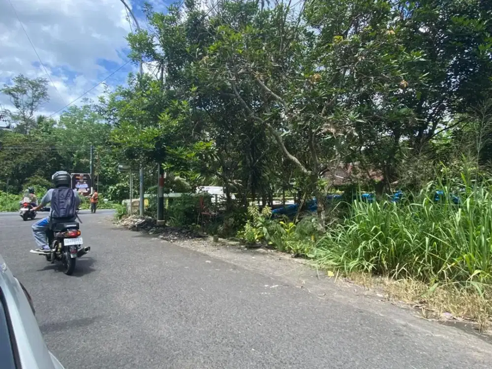 Tanah Murah Kulonprogo Investasi Aman Lokasi Strategis di Kulonprogo 200m dari Jl Provinsi Kulonprogo-Borobudur