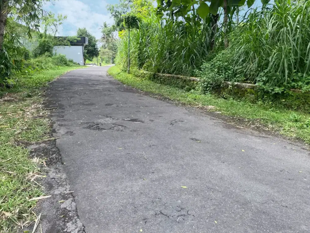 Tanah SHM Pandanaran Sleman, Dekat Ruang Literasi Kaliurang