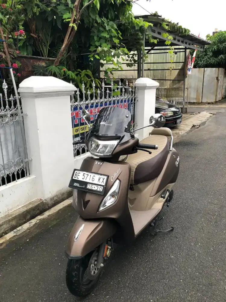 TBS CALLISTO ROYAL BROWN ISTIMEWA 2025 Pajak Hidup