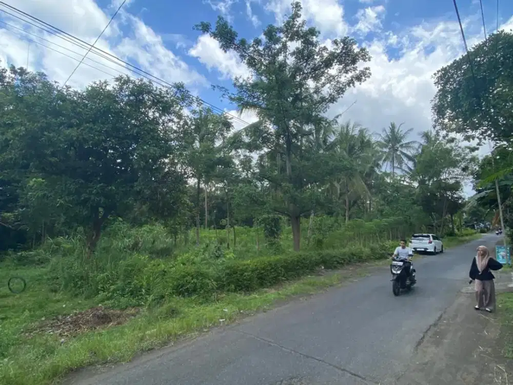 kavling murah di kalibawang kulonprogo 25 menit dari borobudur Jogja