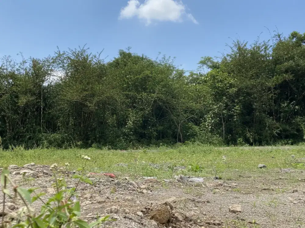 Tanah Akses Jalan Aspal, SHM Luas Mulai 99m²