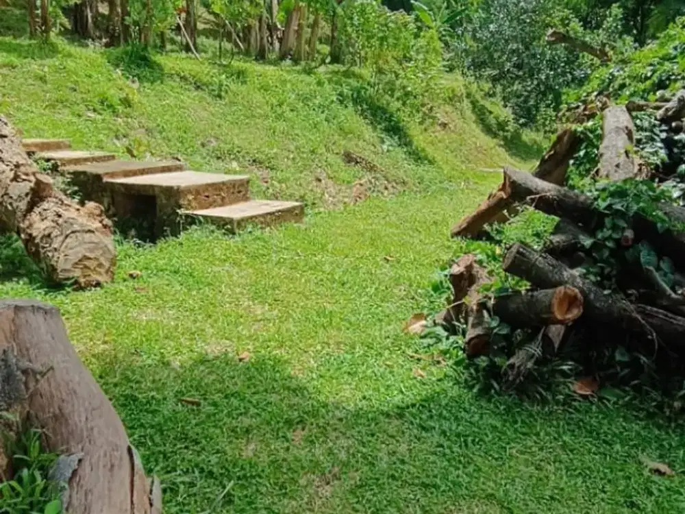 DIJUAL TANAH SIAP BANGUN LOKASI COCOK UTK CAFE OUTDOOR HIDDEN GEM DI JAGAKARSA JAKARTA SELATAN