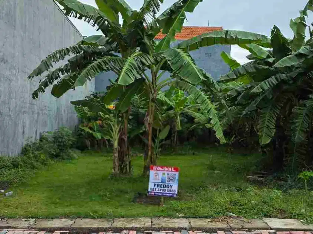 JUAL MURAH KAVLING : KLAMPIS SEMOLO BARAT , ROW JALAN SUPER LEBAR : 15 METER