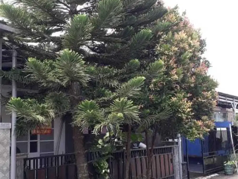 Di Jual CEPAT Rumah di Taruna Residences, BLORA