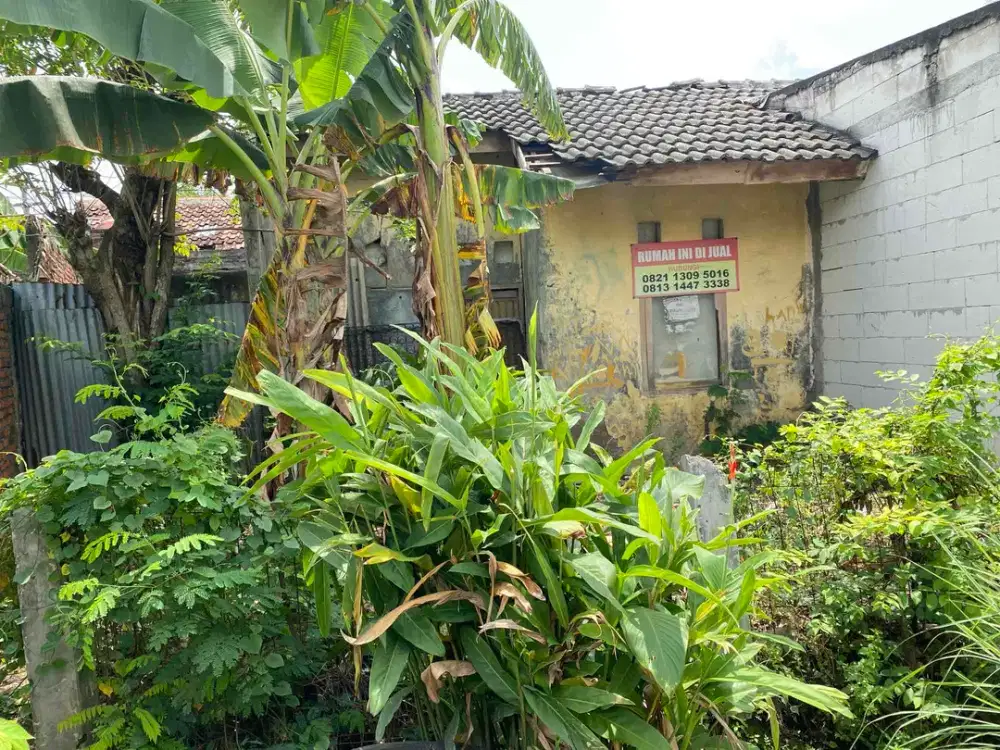 rumah lunas tanah 91 meter SHM