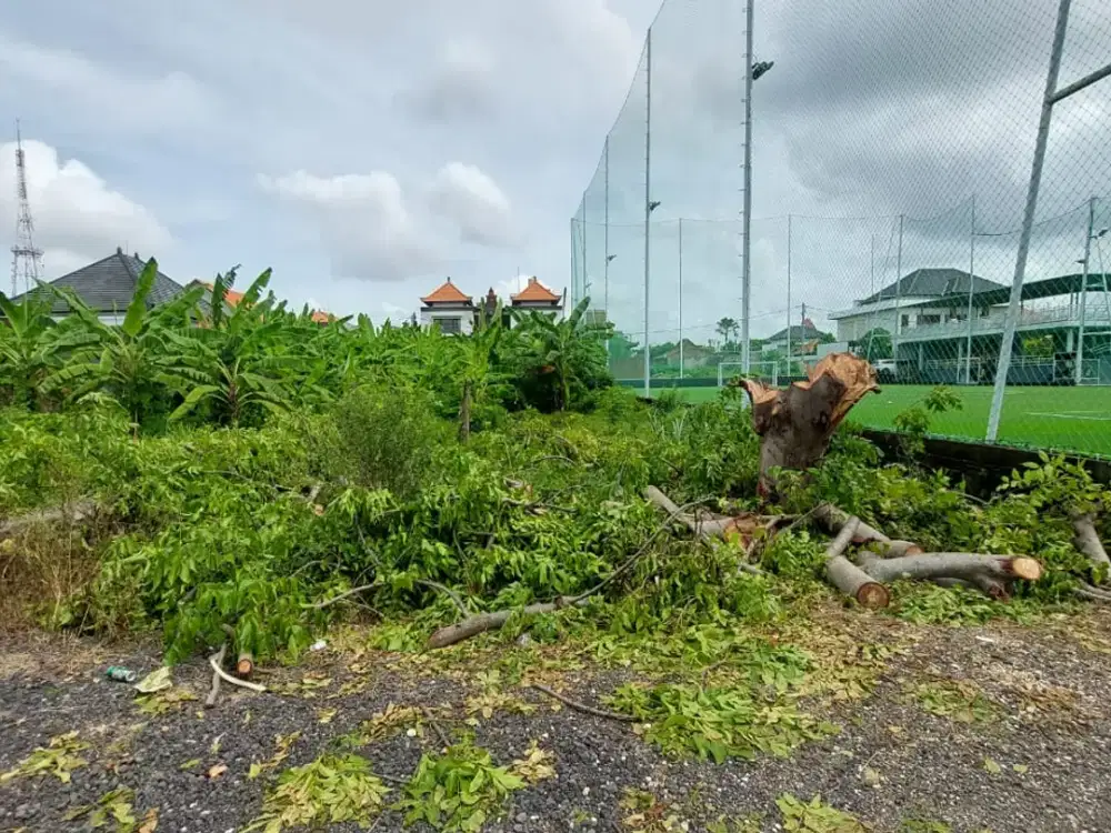 Tanah datar Strategis di Renon akses jalan 8 meter