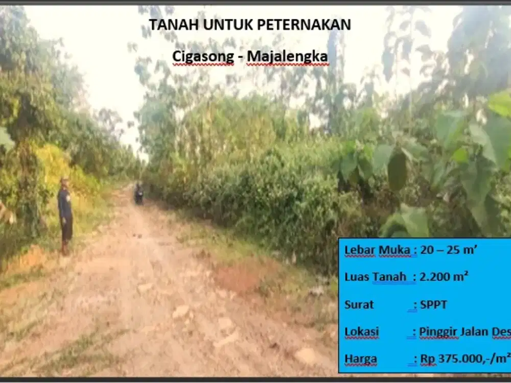 Tanah Untuk Perternakan