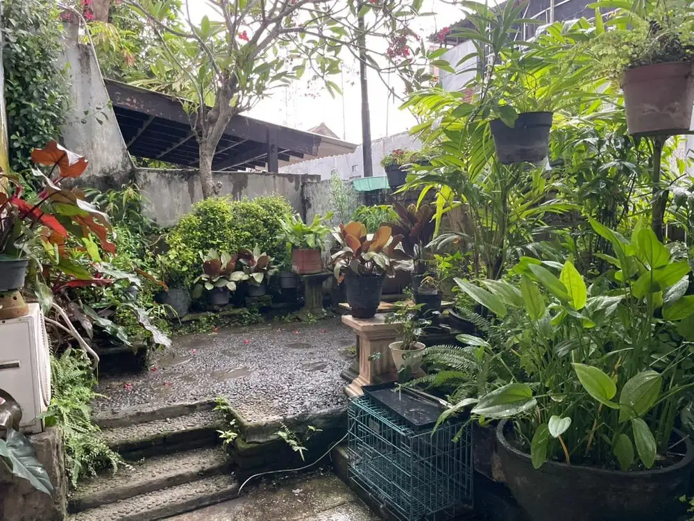 Rmh (10x20) di ketintang