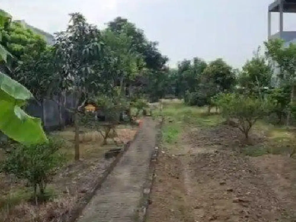 Dijual Kavling Raya Sendang Bulu (belakang Palma Classica Citraland)