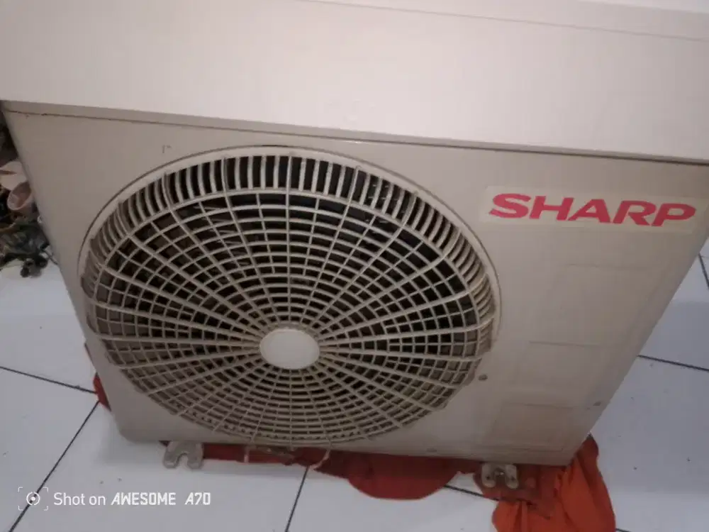 AC Sharp 1/2 pk