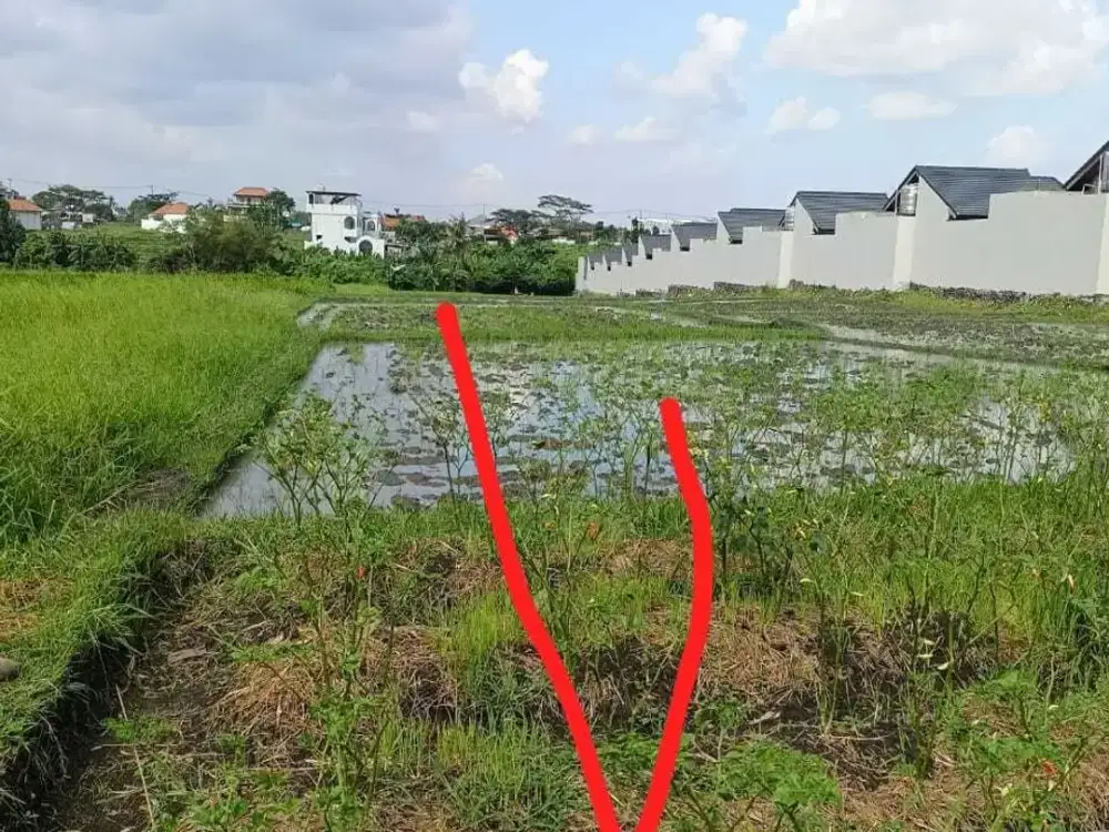 Land for sale in Mengwi, Bali