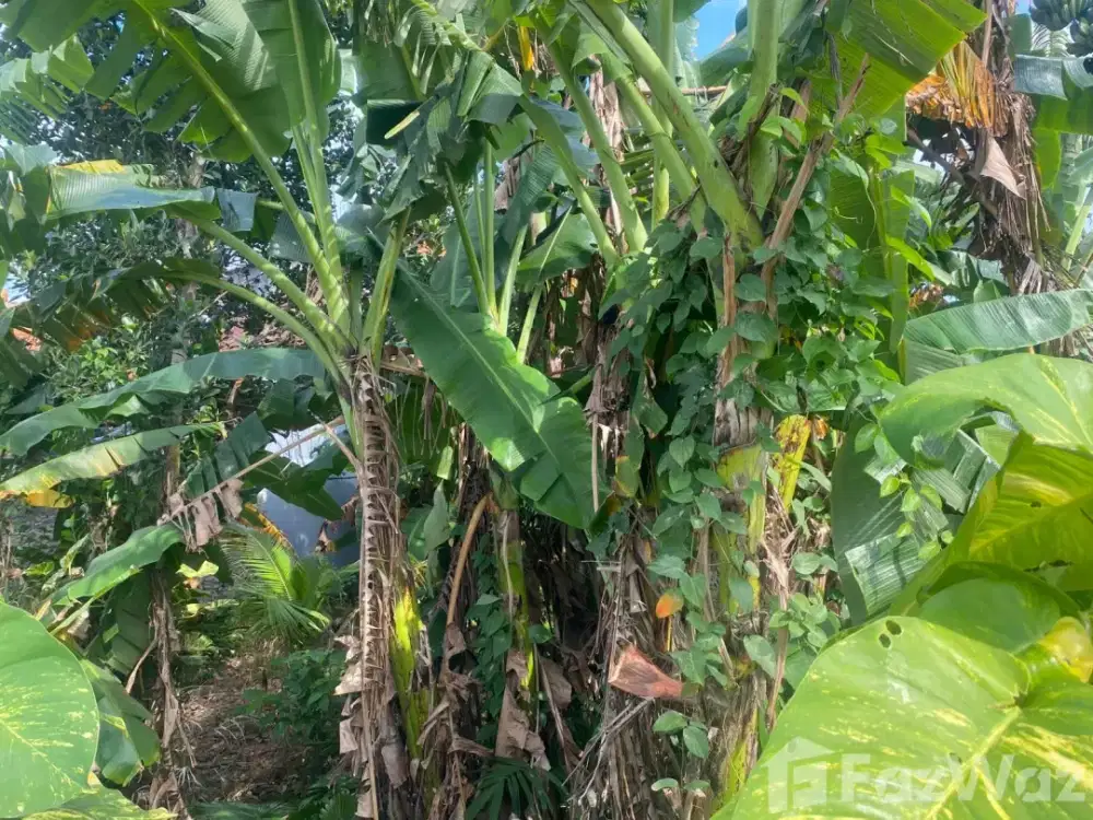 Land for sale in Tumbak Bayuh, Bali