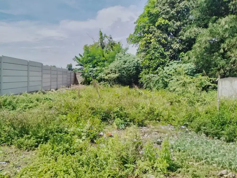 Tanah Produktif dengan Potensi Kenaikan Nilai Jangka Panjang