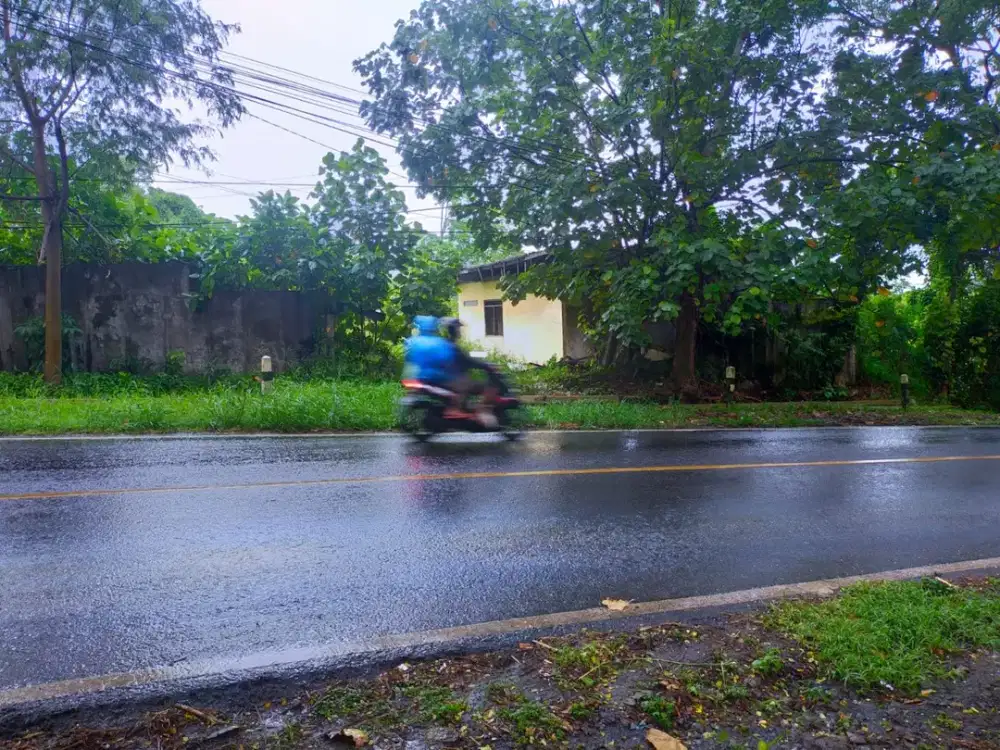 Lahan Luas 1 Hektar di Weleri