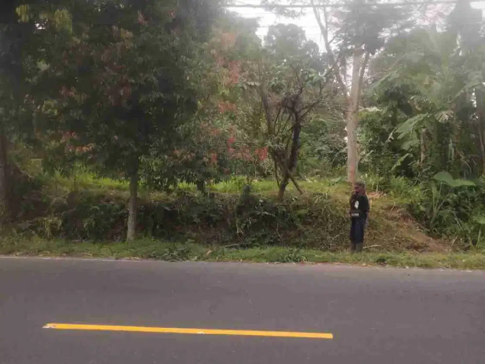 tanah komersil tanah luwus jlan utama baturiti