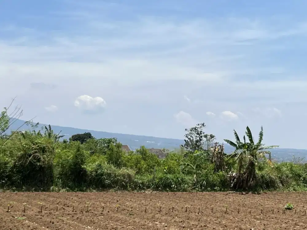 Tanah Kavling Kota Malang Bisa Angsuran Dekat Kampus UMM Muhammadiyah