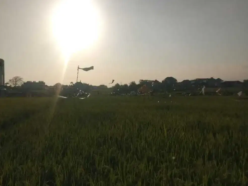 Land for sale in Seseh, Bali