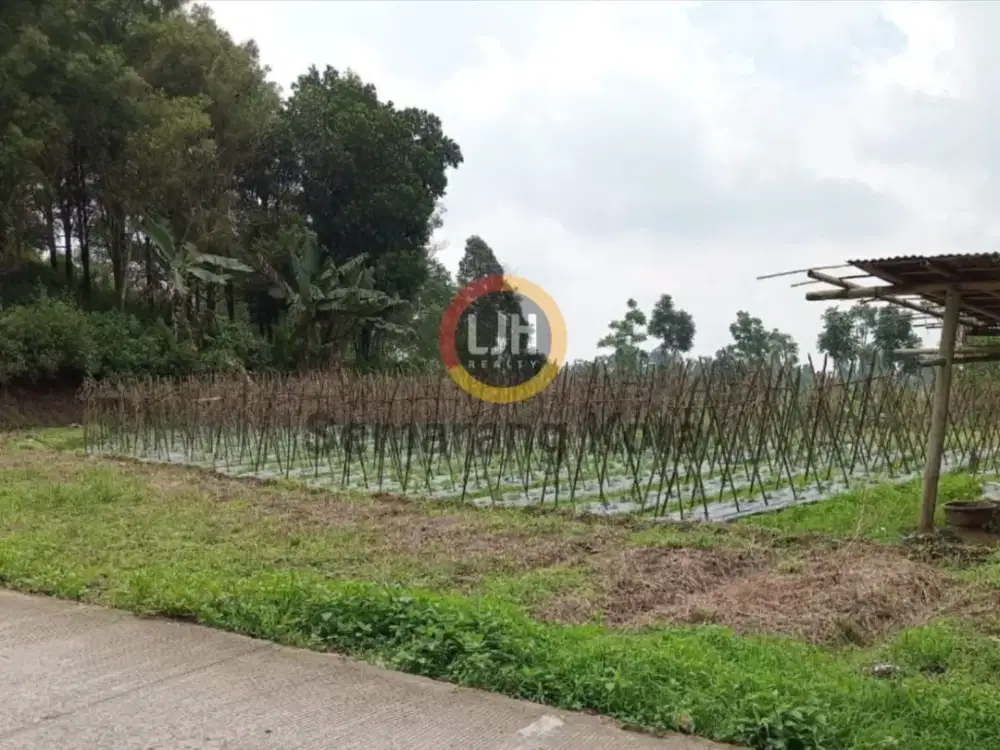 Kavling di Desa Tuwel, Tegal