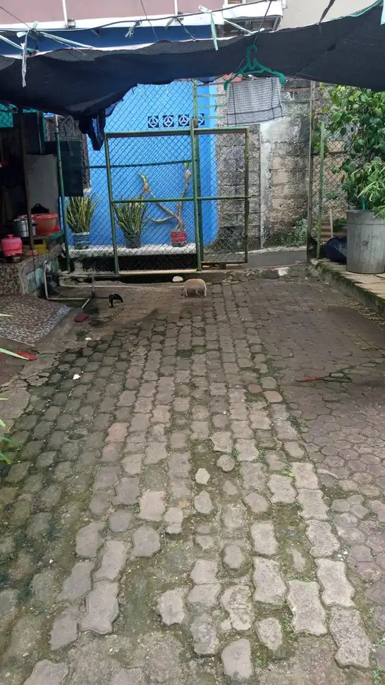 Tanah strategis dekat Terminal Kampung Rambutan