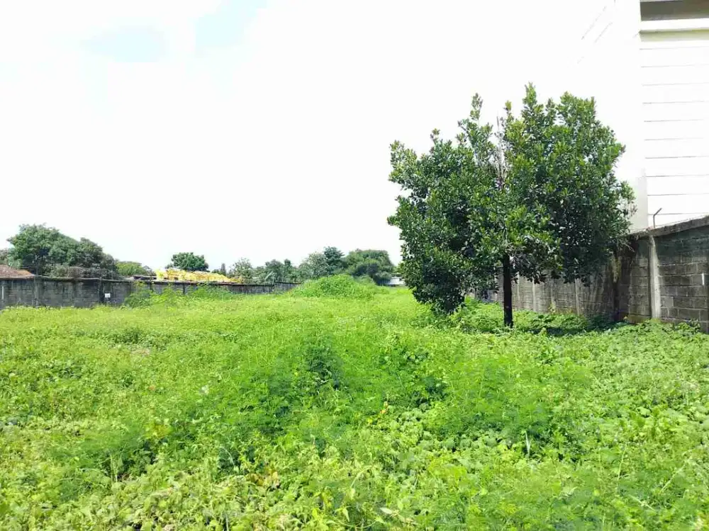 Disewakan Lahan di Weru Cirebon