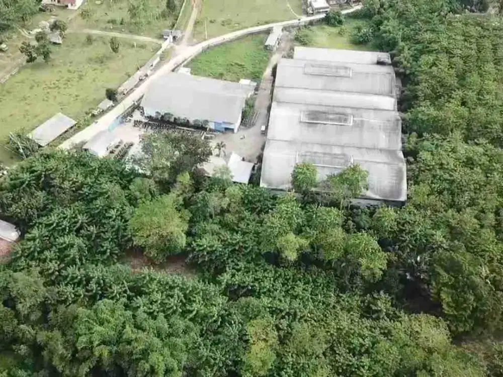 JUAL TANAH MURAH SHM DEKAT STASIUN CITERAS BANTEN